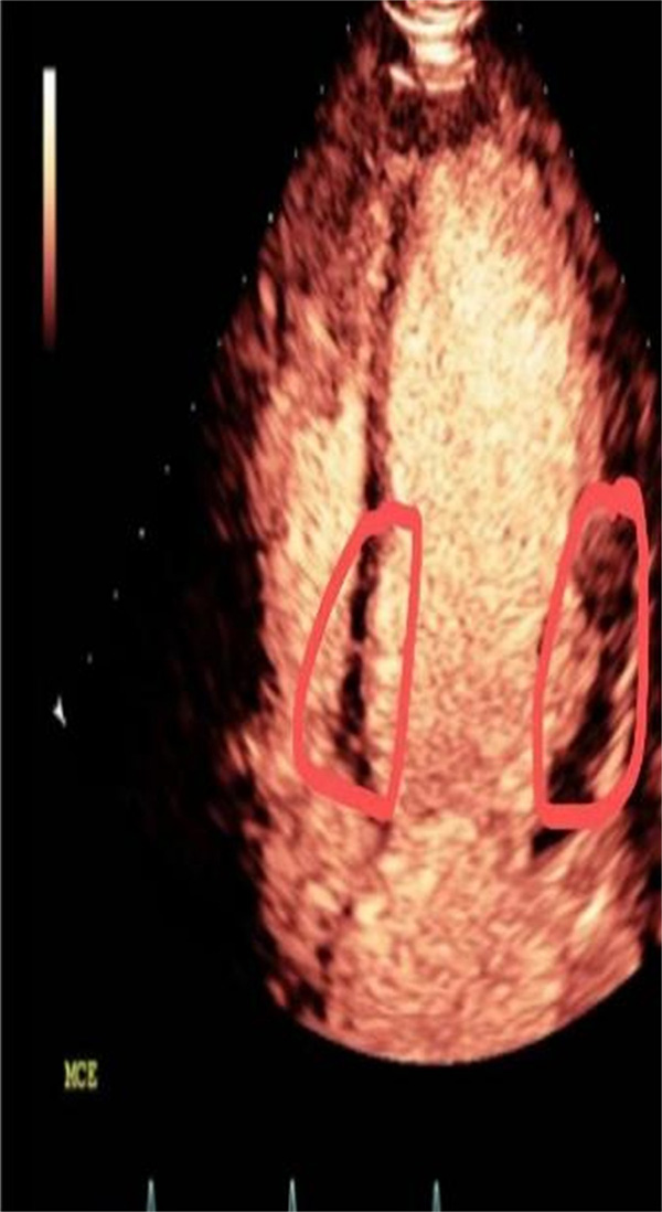 微信图片_20220517092347.jpg 微信图片_20220517092347.jpg