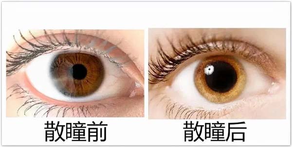 微信图片_20220606180301.jpg 微信图片_20220606180301.jpg