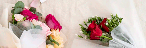 微信图片_20230228095432.gif 微信图片_20230228095432.gif