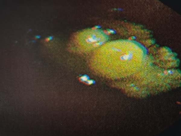 微信图片_20230313155210.jpg 微信图片_20230313155210.jpg