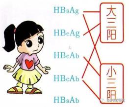 t015ae8def301c1b35b.webp