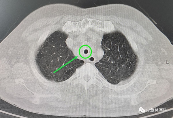 upfile 64bccbf3e4b0285e0b78655e.jpeg